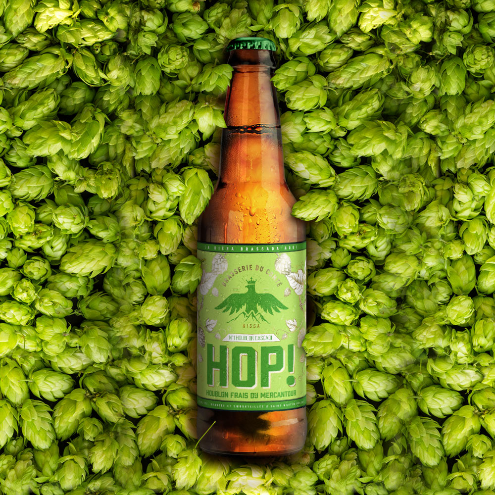 C'est quoi le houblon dans la bière ?